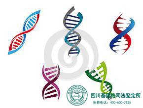 成都亲子鉴定怎么走流程是最快的?